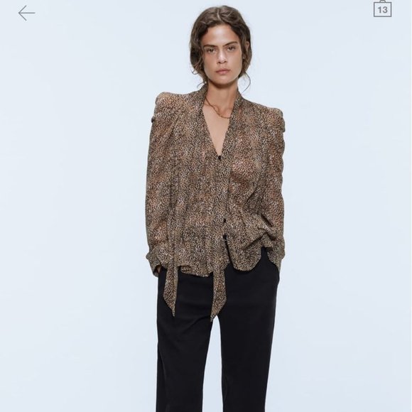 Zara leopard sheer blouse. Xs - Picture 1 of 9